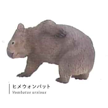 うぉんばっと 31zC8GZ+D3L._UF350,350_QL50_.jpg
